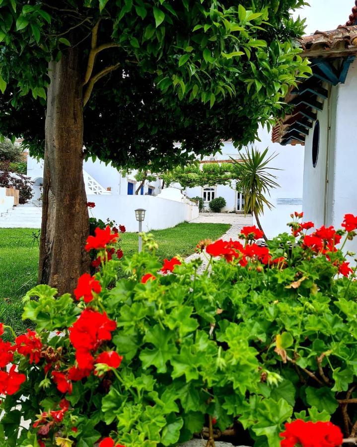 Oryza Guest House& Bauernhof Coimbra